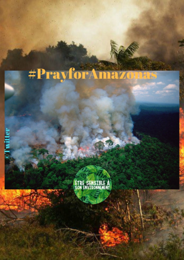 Incendies en Amazonie