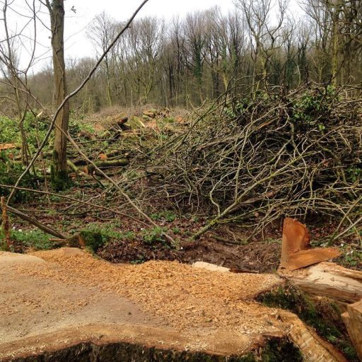 Article : La terre face aux ennemis de l&rsquo;environnement