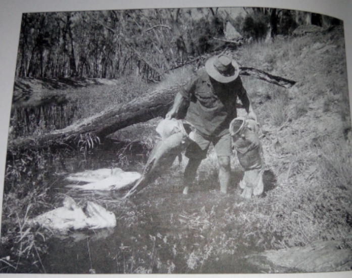 Article : Le bois, l&rsquo;eau, le p&eacute;trole: voici les ressources dont il faut pr&eacute;voir l&rsquo;&eacute;puisement