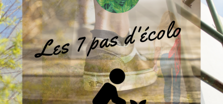 Article : Les 7 pas de l’apprenti écolo