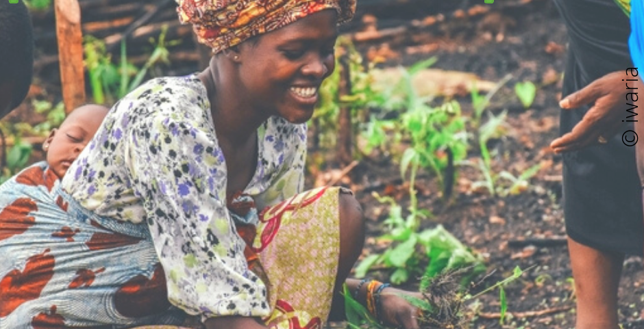 Article : Better Social Casino for free Ports & Games On the web