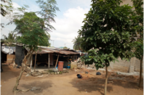 Article : Bananikro, un quartier précaire d’Abidjan
