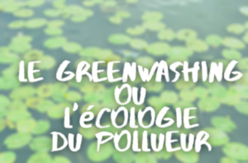 Article : Le greenwashing, ou l’écologie du pollueur