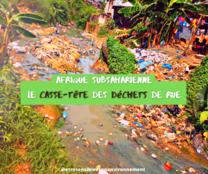 Article : Afrique subsaharienne : le casse-tête des déchets de rue