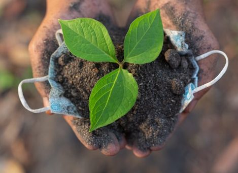 Article : World Environment Day : restaurer des écosystèmes en décadence