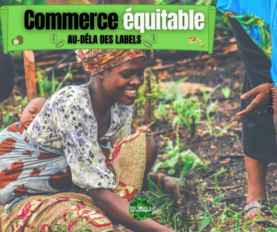 Commerce équitable : au-delà des labels @etresensibleasonenvironnement