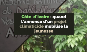 Article : Côte d’Ivoire : quand l’annonce d’un projet climaticide à Dahliafleur mobilise la jeunesse