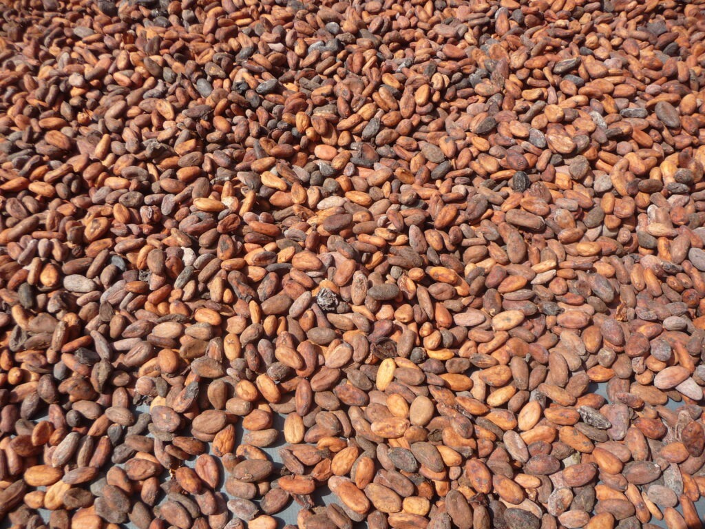 Cacao bio et chocolat équitable : quand la situation des planteurs rencontre enfin des alternatives @etresensibleasonenvironnement - photo de gebana
