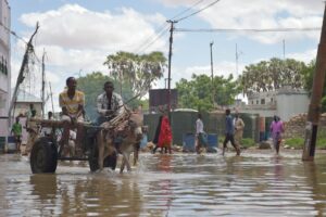 Article : Jeunesse africaine face à la crise climatique : comment sauver la planète quand on a faim ?